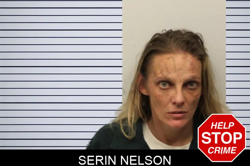 Serin Nelson mugshot