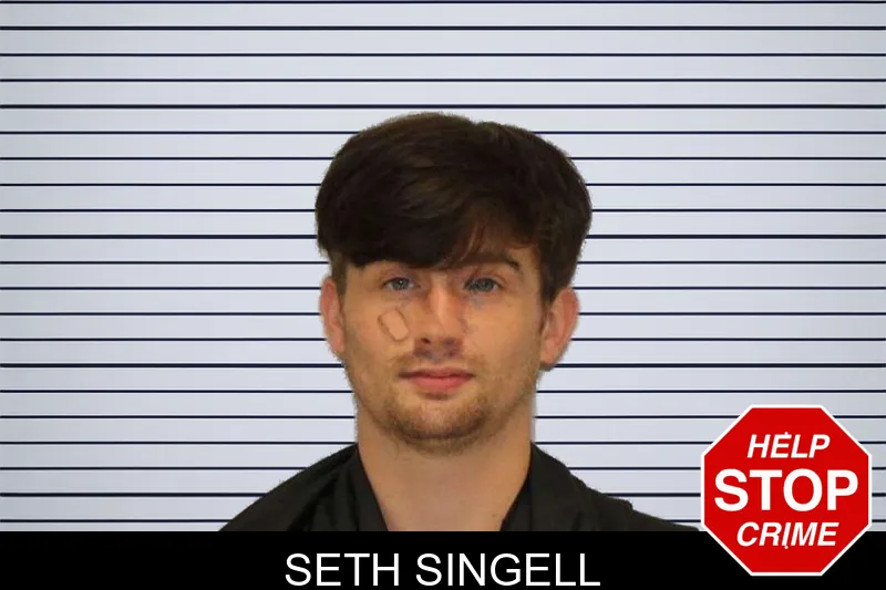 Seth Singell mugshot