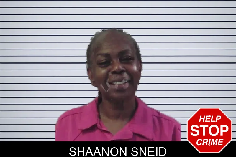 Shaanon Sneid mugshot