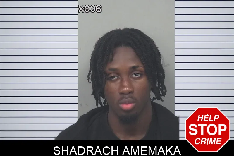 Shadrach Amemaka mugshot