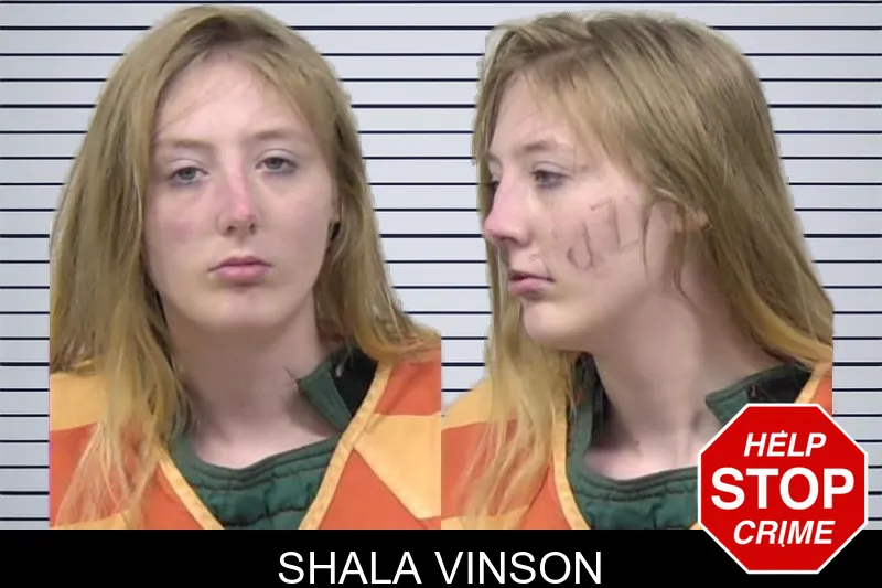 Shala Vinson mugshot