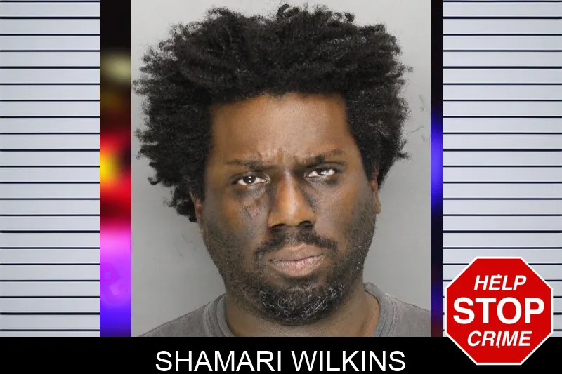 Shamari Wilkins mugshot