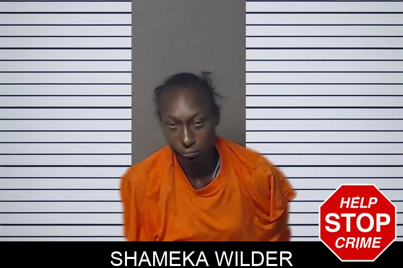 Shameka Wilder mugshot