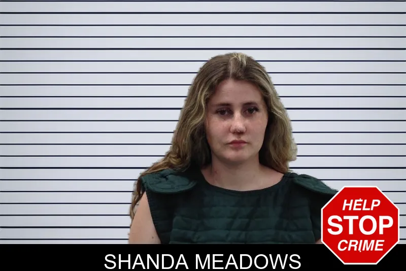 Shanda Meadows mugshot