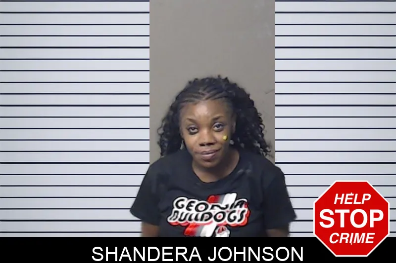 Shandera Johnson mugshot