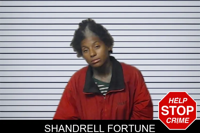 Shandrell Fortune mugshot