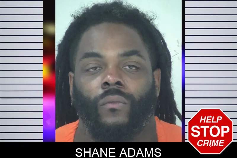 Shane Adams mugshot