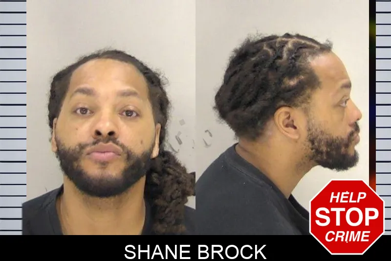 Shane Brock mugshot