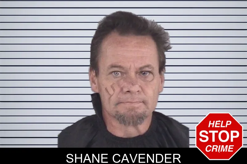 Shane Cavender mugshot