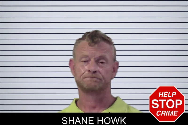 Shane Howk mugshot