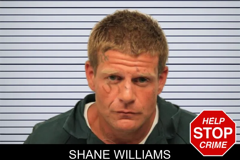 Shane Williams mugshot