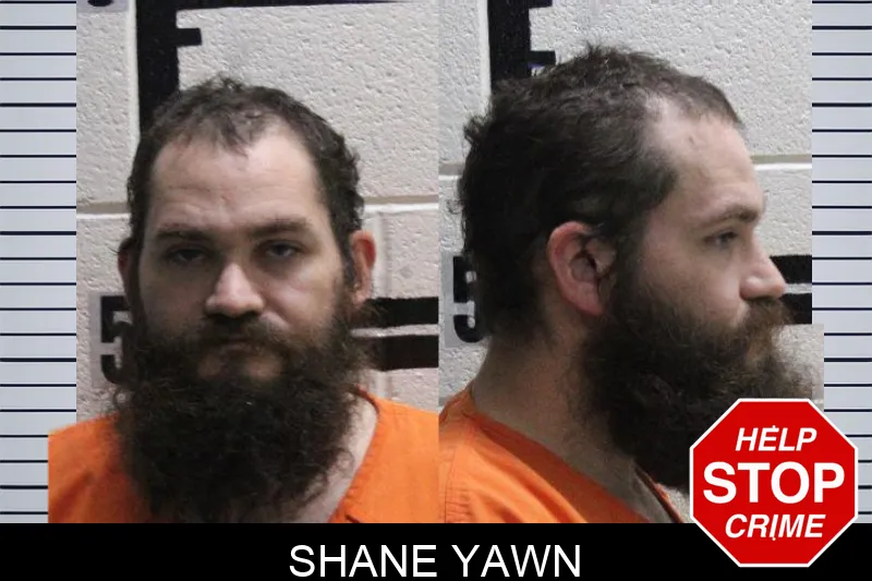 Shane Yawn mugshot