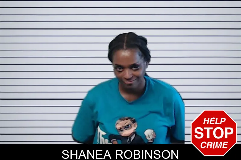 Shanea Robinson mugshot
