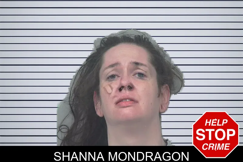 Shanna Mondragon mugshot