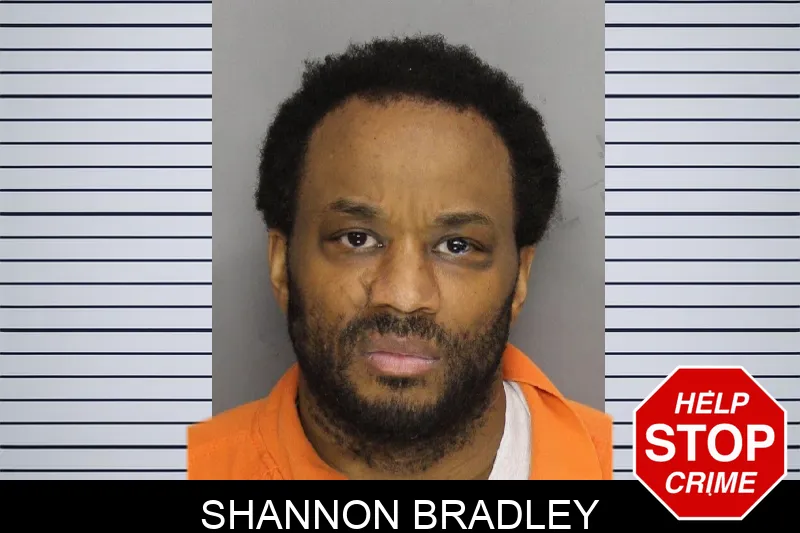 Shannon Bradley mugshot – Cobb County , Georgia Shannon Bradley mugshot