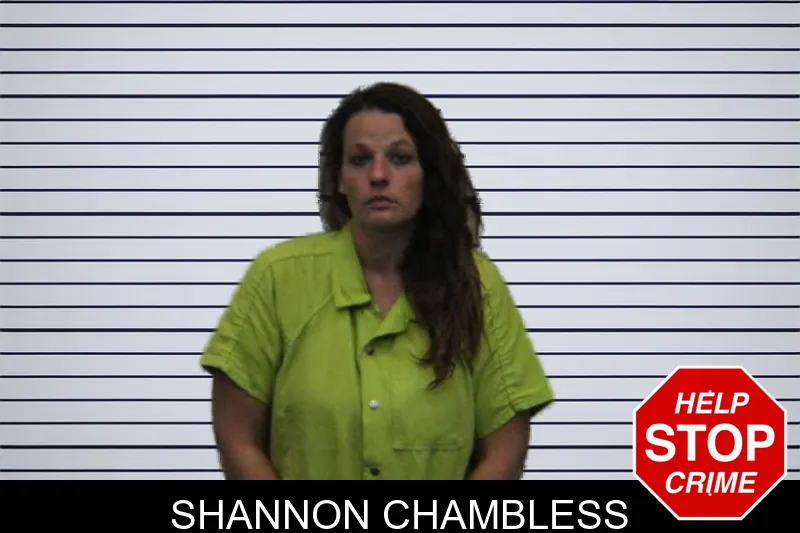 Shannon Chambless mugshot