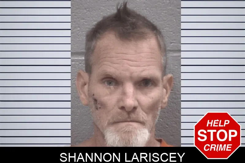 Shannon Lariscey mugshot
