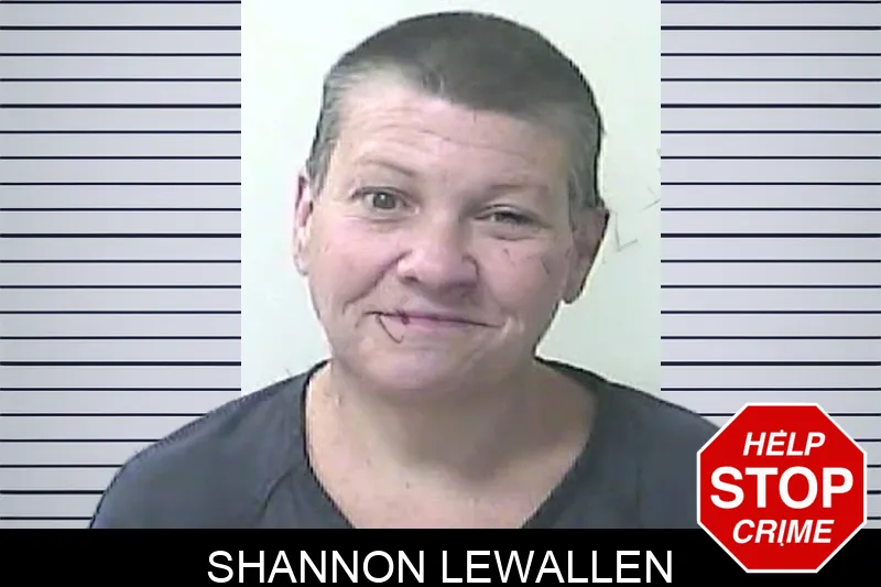 Shannon Lewallen mugshot