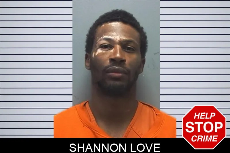 Shannon Love mugshot