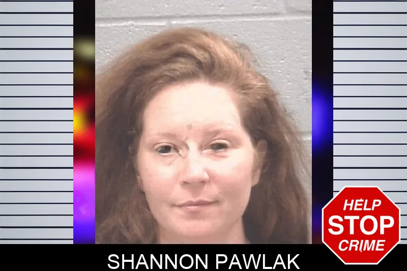 Shannon Pawlak mugshot