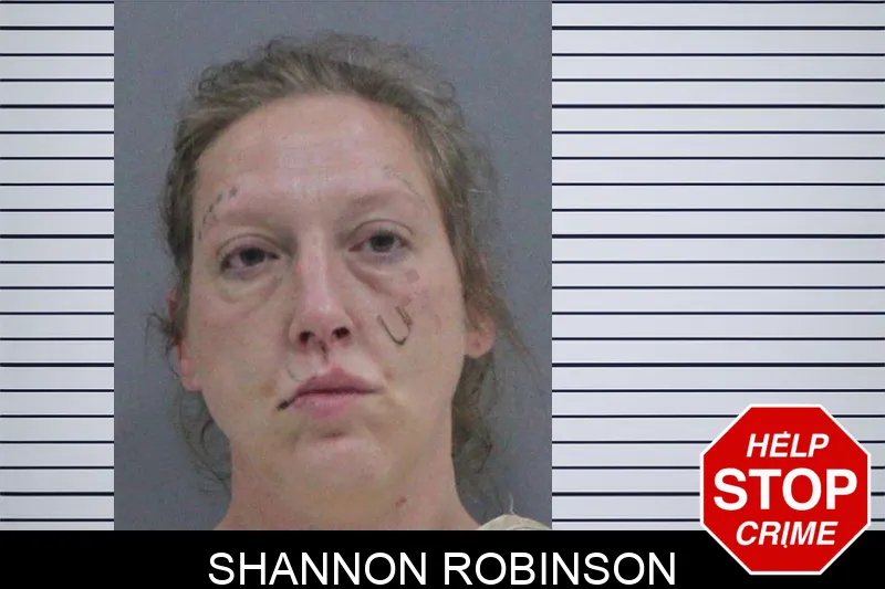 Shannon Robinson mugshot