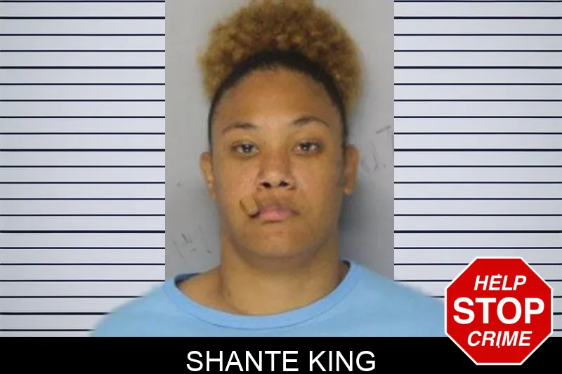 Shante King mugshot