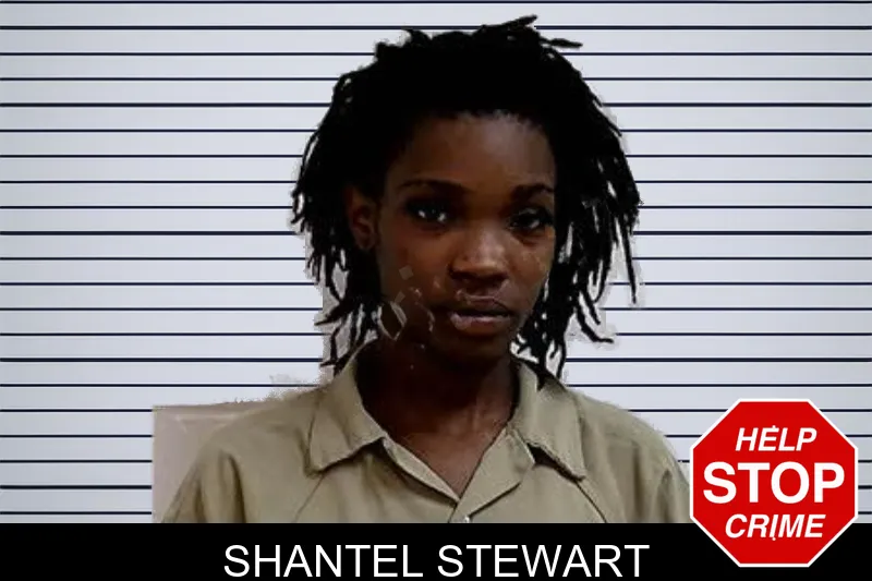 Shantel Stewart mugshot
