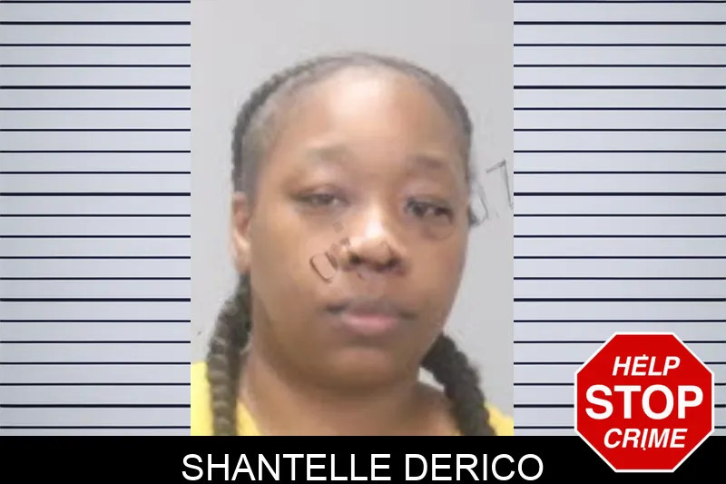 Shantelle Derico mugshot