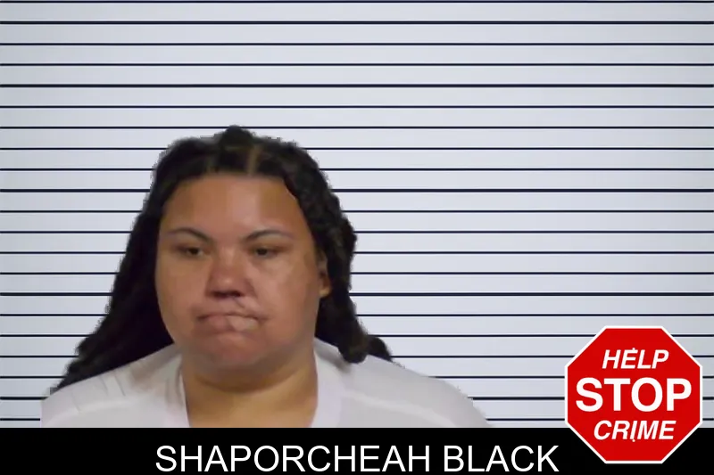 Shaporcheah Black mugshot