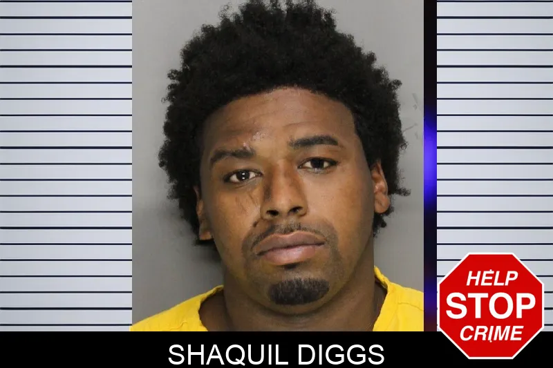 Shaquil Diggs mugshot