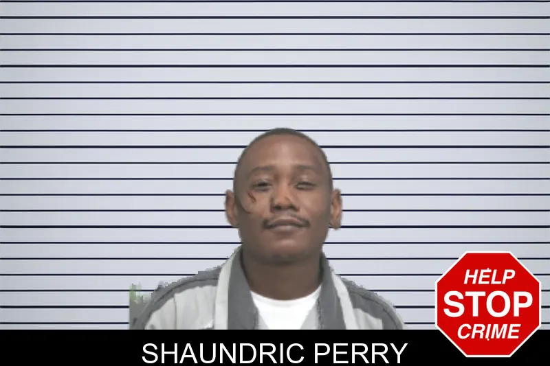 Shaundric Perry mugshot