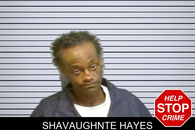 Shavaughnte Hayes mugshot