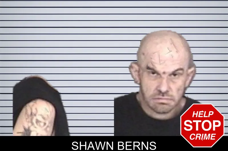 Shawn Berns mugshot