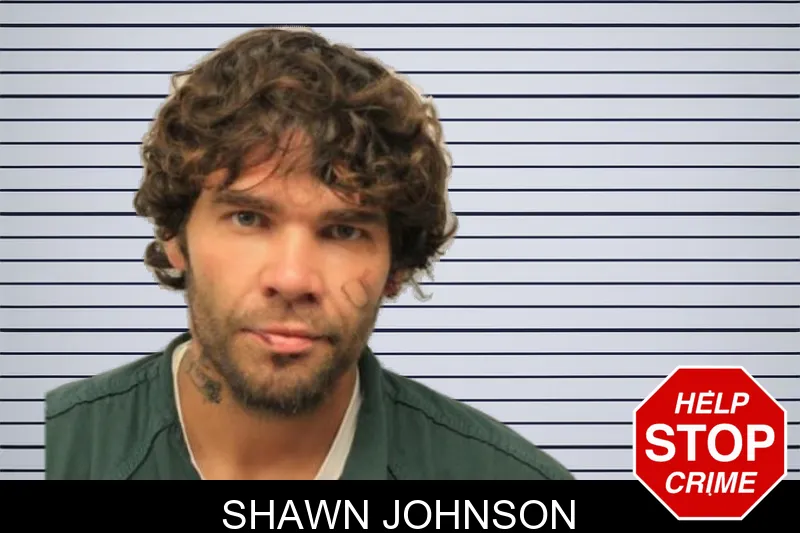 Shawn Johnson mugshot