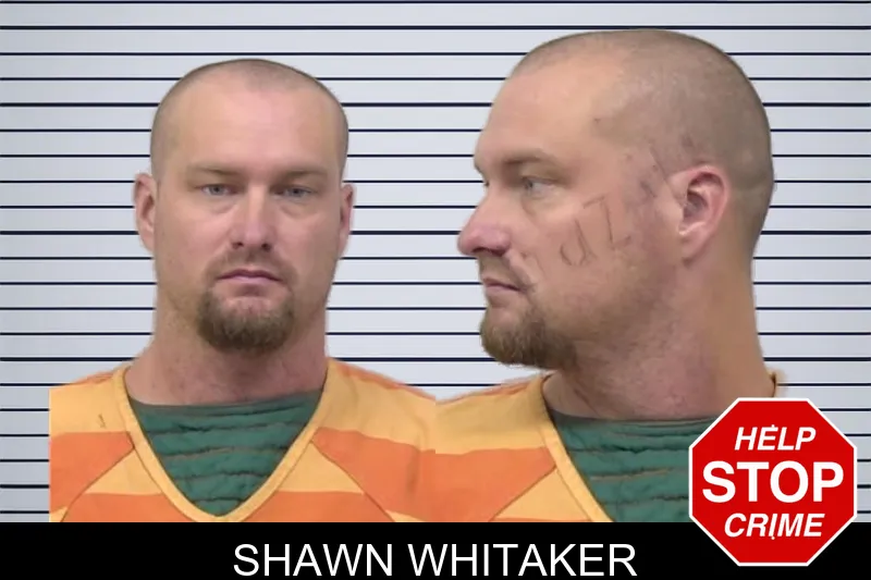 Shawn Whitaker mugshot