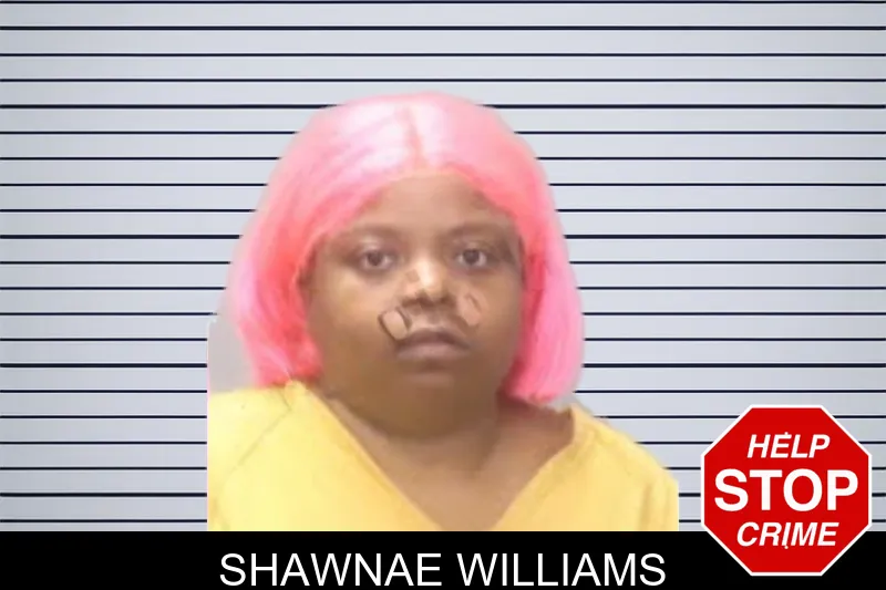 Shawnae Williams mugshot