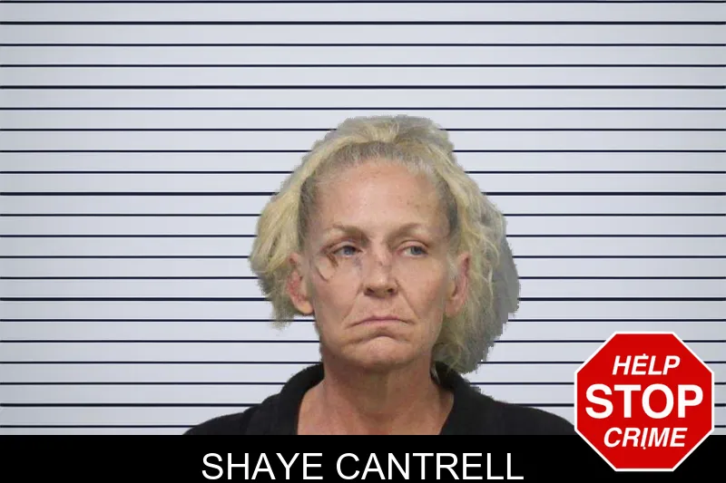 Shaye Cantrell mugshot