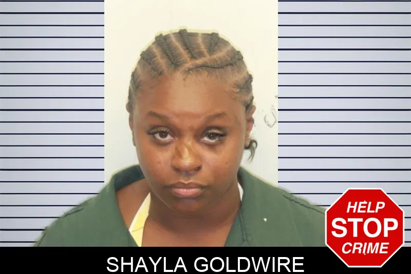 Shayla Goldwire mugshot – Chatham County , Georgia Shayla Goldwire mugshot
