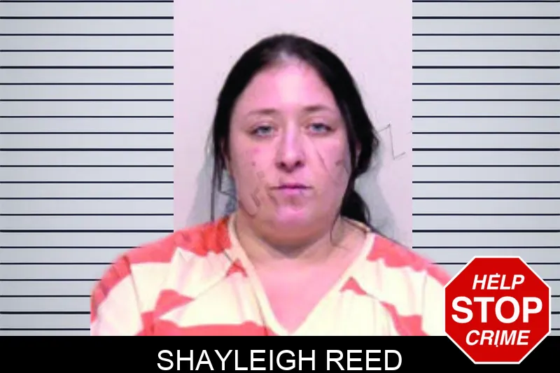 Shayleigh Reed mugshot