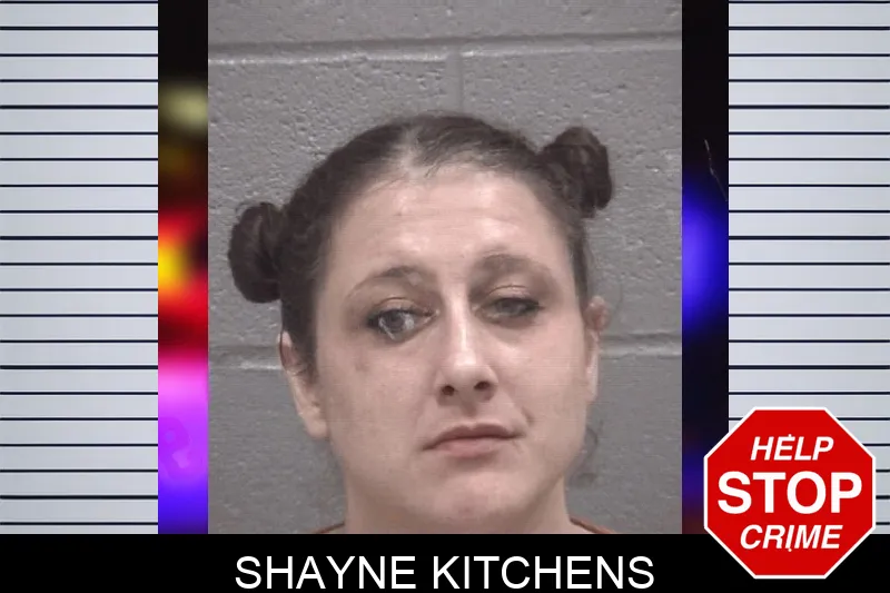 Shayne Kitchens mugshot