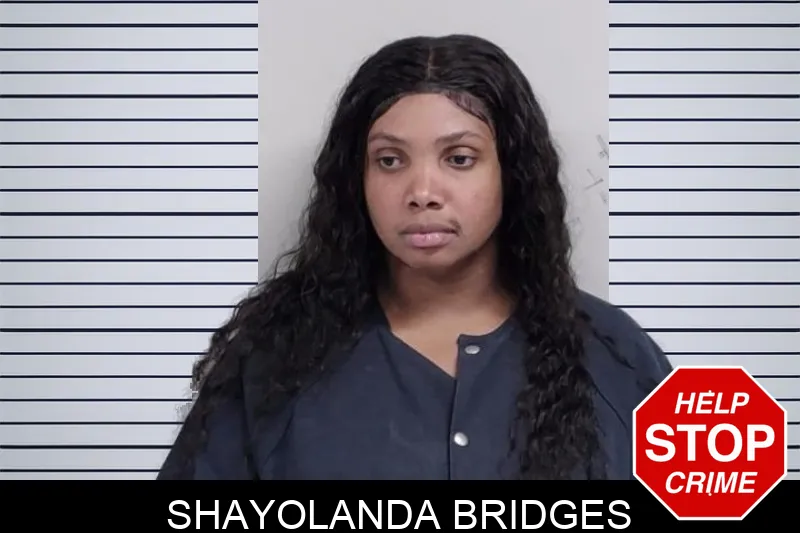 Shayolanda Bridges mugshot