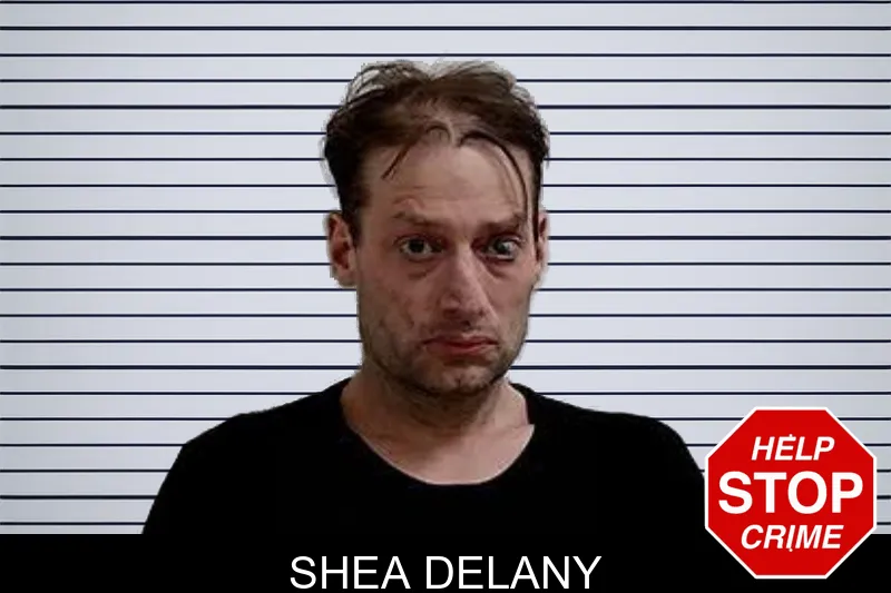 Shea Delany mugshot