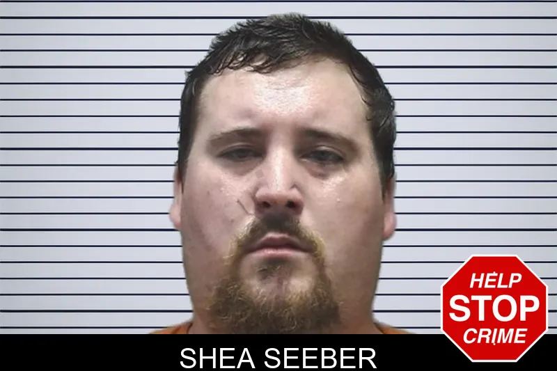 Shea Seeber mugshot
