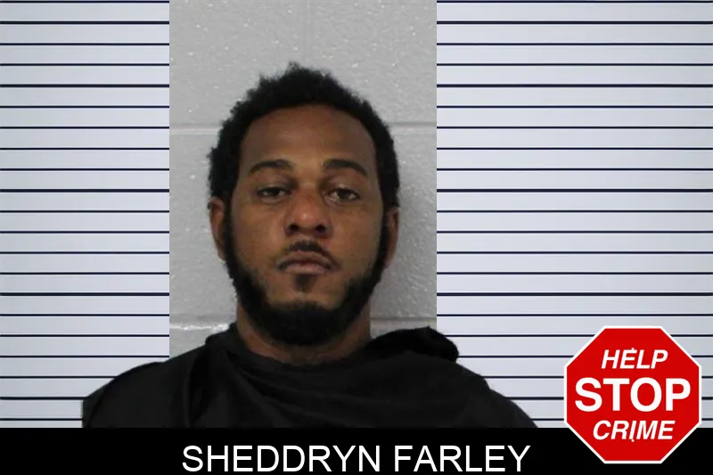 Sheddryn Farley mugshot
