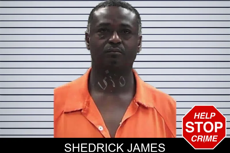 Shedrick James mugshot