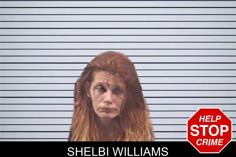 Shelbi Williams mugshot