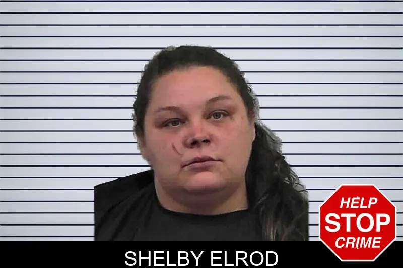 Shelby Elrod mugshot