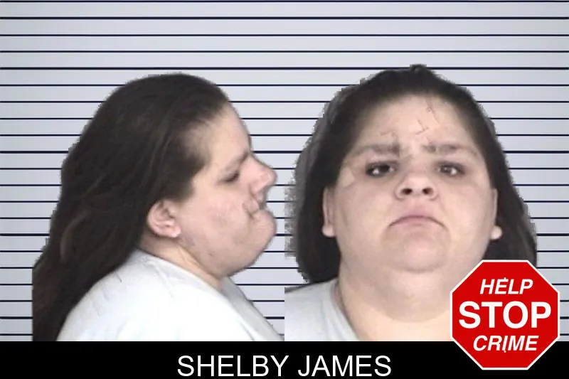 Shelby James mugshot