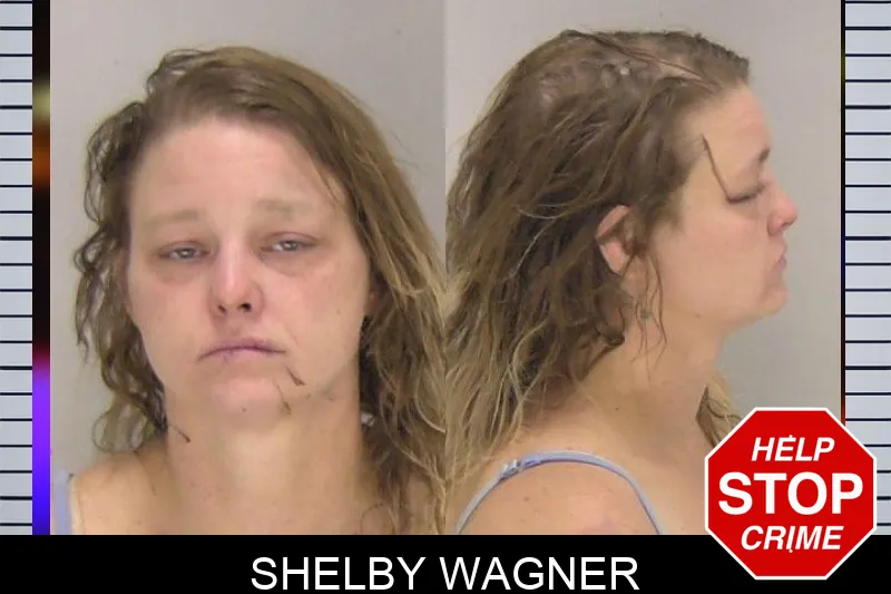Shelby Wagner mugshot