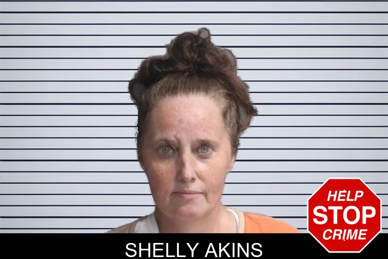 Shelly Akins mugshot